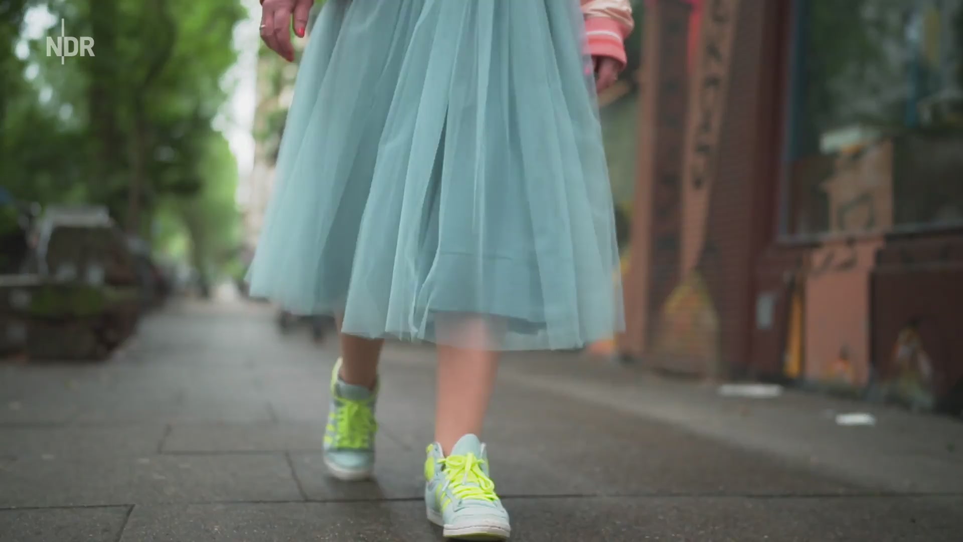 Video laden: NDR Beitrag über Ave evA